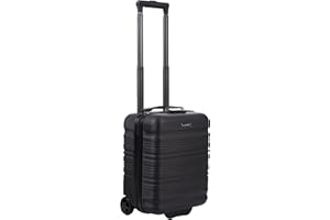 R.Leone Valigia Trolley Bagaglio a Mano 40x30x20cm Wizzair Vueling 2 Ruota in ABS (Nero, 915 40X30X20cm 2Ruota)