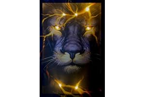 Samarkand - Lights LED Bild Leuchtbild 65 cm x 45 cm Bilder Löwe Fire Feuer Lion Wandbild