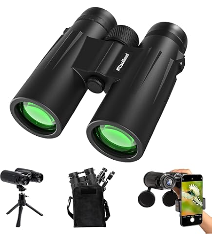 Bushnell Forge Fernglas 8x42 | Dachprisma Mit EXO-Barriere & ED-Objektiv | Wasserdicht IPX7