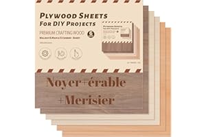 ROBOTIME Contreplaqué Noyer érable cerise 3mm Couleur 300 x300mm 6 PC Planche Bois Brut Bouleau Panneau Feuille Découpe Pyrogravure Gavure Laser Bois chaque matériau 2 pièces