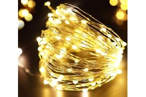 FRIDEKO HOME Frideko 30 LED Fairy Lights Battery Operated, 3m/10ft Thin Wire String Lights Battery Fairy Lights Indoor for Bedroom Wedding Party Birthday Christmas Decor (Warm White)