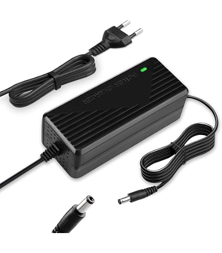 Chargeur De Skate électrique ZWHEEL 42V 2A – Compatible E9BMAX, ZFoxMAX, E9MAX, ZLionMAX – Adaptateur DC 5,5x2,1mm (EU) - 9