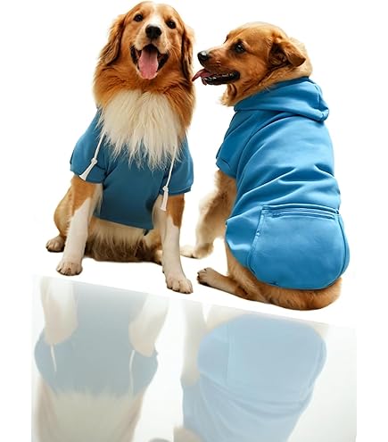 Warmes Korallen vlies Winter hund Haustier Halloween Grün Lustiger Dinosaurier J
