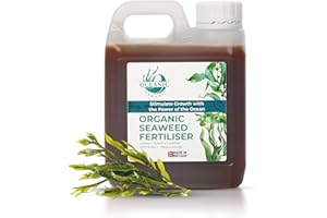 OCEANIC ORGANIC LTD Organic Seaweed Fertiliser, Nutrient-Rich Plant Feed, Liquid Seaweed for Plants, Lawns & Vegetables UK-Made (1L)