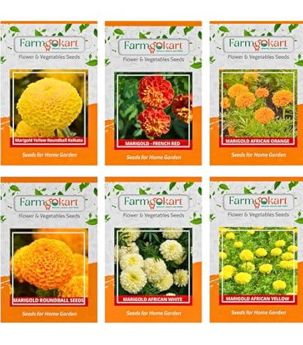 Sakata Yellow-307 Hybrid Marigold Seeds, Yellow (1000 Seeds