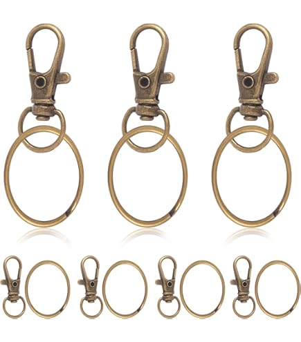 QUARKZMAN 10 stuks zwenksluitingen, 0,63 inch, D-ring