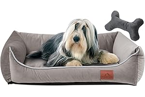 FUUFEE Cuccia Cane Interno | 70 x 50 cm | Letto Per Cani E Gatti Di Taglia Media | Lavabile Brandina Per Cani | Rivestimento Sfoderabile Con Cerniera