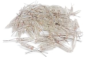 TOSEND Lampada Sostitutiva pisellino Lampadina 12V - Confezione 100 Pisellini (Trasparente)