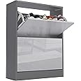 Blisswood High Gloss 2 Drawer Shoe Cabinet Cupboard, Shoe Storage Organiser Freestanding 2 Tier Wooden Shoe Rack Cabinet Modern Footwear Stand For Hallway Furniture (Silver Grey & Dark Grey)