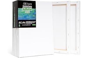 Elan Tela per Dipingere 20x30, Set da 6 Tele per Dipingere 20x30, 100% Cotone Tele Pittura, Canvas for Painting 280GSM, Tela 30x20