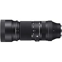SIGMA 100-400mm F5-6.3 DG DN OS \r
 Eマウント Sigma 100-400mm f/5-6.3 DG DN OS Contemporary Lens for Sony