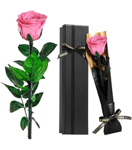 CSYY Geconserveerde roos voor moeder, vriendin, vrouw, eeuwige roos met halsketting en oorbellen, rood geconserveerd bloemengeschenk voor vriendin, moeder, verjaardag, jubileum, Moederdag