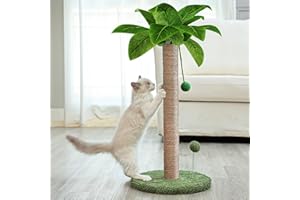 Dohump Cat Scratching Post, 66cm Kitten Scratching Post with Premium Sisal Rope, Cute Cat Tree with Dangling and Spring Ball Toys for Indoor Small Cats…
