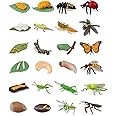 Odowalker 24PCS Life Cycle Figures,Insect Figurines Life Cycle of Monarch Butterfly,Honey Bee,Ladybug,Praying Mantis,Dragonfly,Grasshopper Safariology Bug Figures Kits Educational School Project