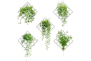NECDEOL Adesivo da parete 3D con piante verdi e piante, 5 pezzi, per cucina, camera da letto, soggiorno