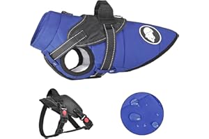 KORJOEE wasserdichte Hundemantel mit Abnehmbarem Geschirr, Winter Warme Hundejacke für Kleine und Mittlere Große Hunde, Reflektierende Winterhundkleidung für Teddy Chihuahua Bulldogge Labrador