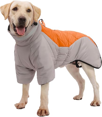 BDSHUNBF Cappottino Cane Taglia Piccola, Cappotto Cane Giacca Per Cani Antivento Ipereabile - 5