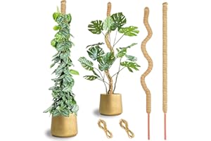HuiPoLii 2 Stück 125cm Kokosfaser Monstera Rankhilfe,Biegbare Monstera Rankhilfe,DIY-Form,Verwenden Sie Rankhilfe Zimmerpflanzen,Rankhilfe,Moosstab