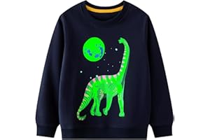FILOWA Sweatshirt Garçon Enfant Pull Coton Col Rond Manches Longues Dinosaure Sweater, Casual Jumper sans Capuche Chaud Mode Tops Sweatshirt 2-7 Ans, Bleu Marine