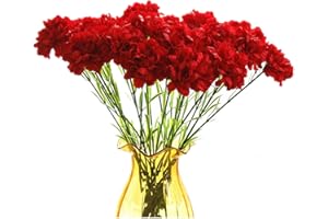 RIKYO Ramos de 20 Pulgadas, 10 claveles de Tallo, no se decolora, pétalos de Seda, Flores Falsas para Siempre, Plantas para Bodas, Fiestas, hogar, Oficina, Restaurante, Mesa, centros de Mesa (Rojo)