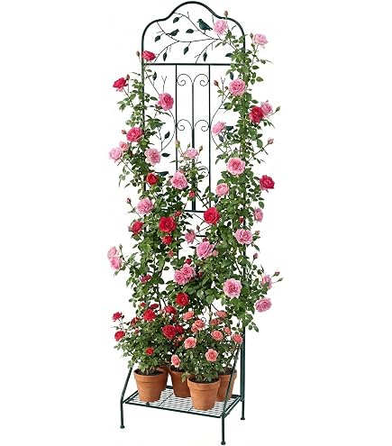 woyufen Graticcio Verticale da Giardino antiruggine da 210 cm, per Piante rampicanti, Viti in Vaso, ortaggi, Fiori, Patio, reticoli, Torre per edera, cetrioli, clematidi