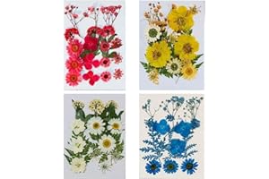 Auriselle 60 Unidades Flores Naturales secas prensadas, Hojas Mixtas, Margaritas, envasadas al vacío, Reutilizables, Hacer Joyas Resina, Velas DIY, Colgantes, Fundas móviles, Decoraciones artísticas