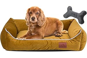 FUUFEE Cuccia Cane Interno | 70 x 50 cm | Letto Per Cani E Gatti Di Taglia Media | Lavabile Brandina Per Cani | Rivestimento Sfoderabile Con Cerniera