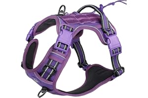 WALDSEEMÜLLER Uprząż taktyczna dla średnich i dużych psów, przeciw szarpnięciom, odblaskowa