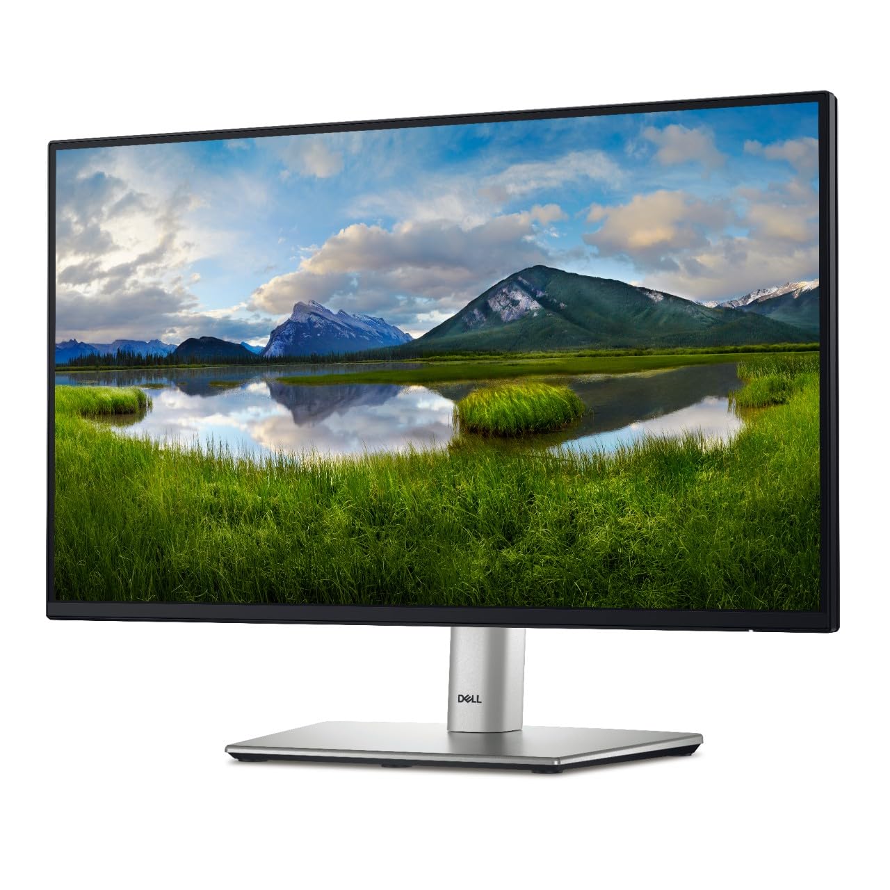 Dell-P2422H 24