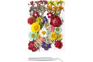 Cayway 40 Pcs Real Pressed Flowers Dry with Tweezers Set, Dried Pressed Flowers Colorful Real Pressed Flowers for Resin Scrapbooking DIY Art Crafts, Epoxy Resin Jewelry, Soap Making