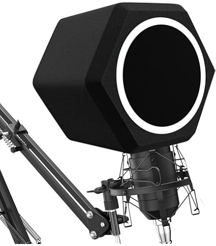 Blue Bluebird SL Condenser USB Mic : Amazon.in: Musical Instruments