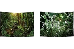 Ulticool – Tapiz de decoración para apartamento – Selva tropical Naturaleza Eco Plantas – Verde – Juego de 2 motivos – 73 cm x 95 cm – Toalla de pared – Accesorios para dormitorio, sala de estar