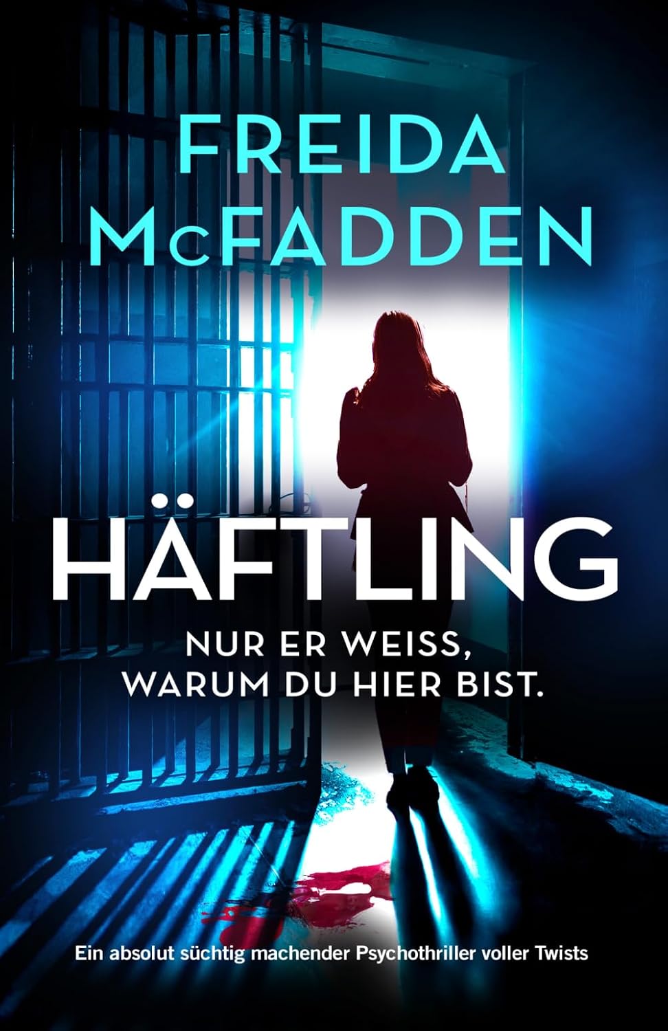 Die verschlossene Tür: Ein fesselnder Psychothriller mit Suchtfaktor - Mise en situation et utilisation