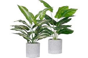 Der Rose - Confezione da 2 piante finte tropicali artificiali per interni, ufficio, scrivania, casa, decorazione color verde salvia