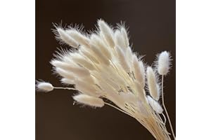 HUAESIN 60PCS Bunny Tails Pampas Grass Decor White Bunny Tails Grass Dried Flowers Bouquet 45cm-17.7inches Natural Rabbit Tails for Boho Decor Flower Arrangements Wedding Home Decor