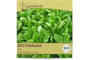 Samenliebe BIO Feldsalat Samen alte Sorte Elan nussiger Winterfeldsalat kompakter Salat grün 1,5g samenfestes Gemüse Saatgut für Gewächshaus Freiland und Balkon BIO Gemüsesamen winterhart