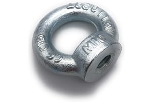 BEFESTIGUNGSTECHNIK F.R. Ringmutter galvanisch Verzinkt C15 - M10-5 Stück - Traglast: 230kg - [ Größe Wählbar M6 M8 M10 M12 M16] Kranöse Zurröse Ösenmutter Augenmutter ähnl. DIN 582 (M10)