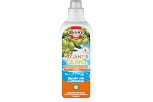 ANTIKA OFFICINA BOTANIKA ALGANTIS OLIVO, Concime energizzante con Boro e Ascophillum Nodosum per Olivo e Piante Mediterranee, flacone da 1 kg
