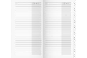 BAIER & SCHNEIDER rido/idé 7045790 Adress-Registerheft (für Taschenkalender/Plankalender/Sichtkalender, 87 x 153 mm, Karton-Umschlag)
