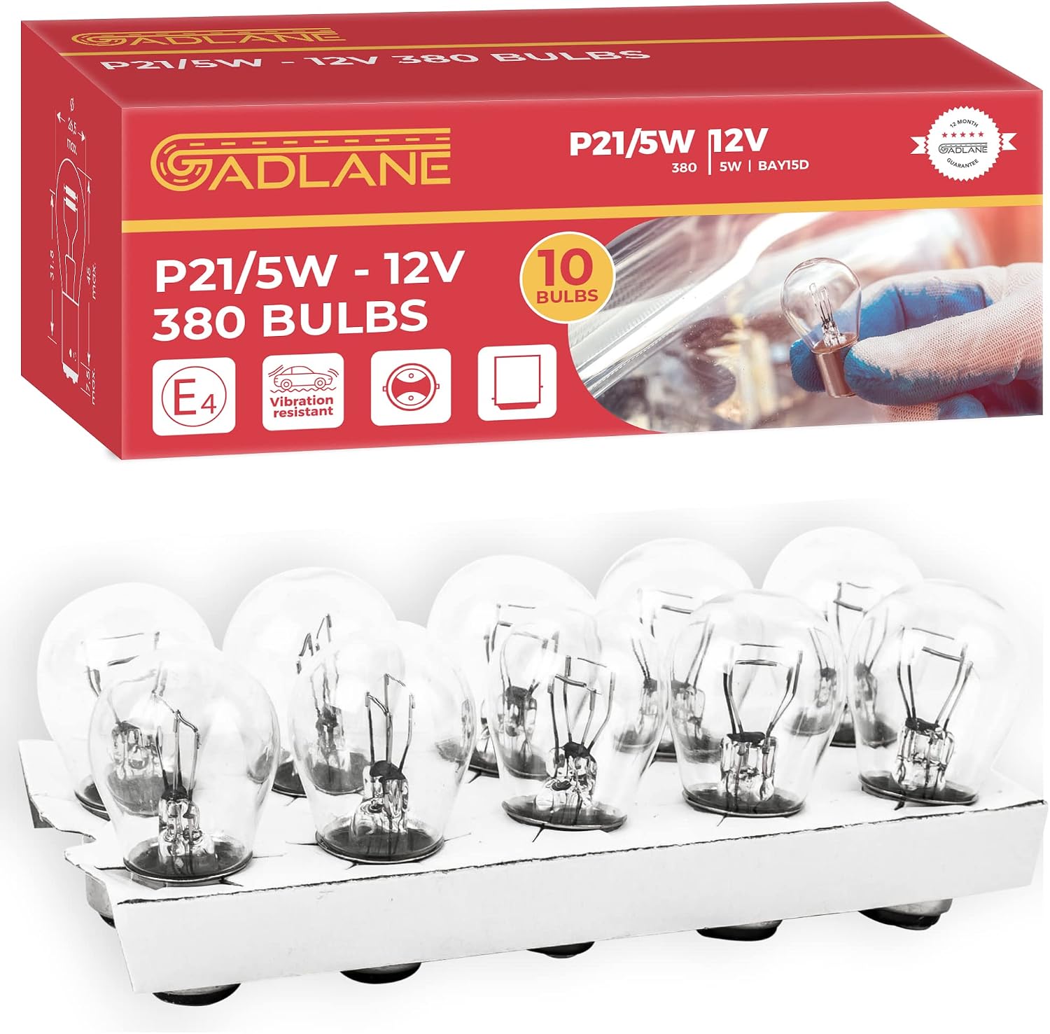 Vue 6