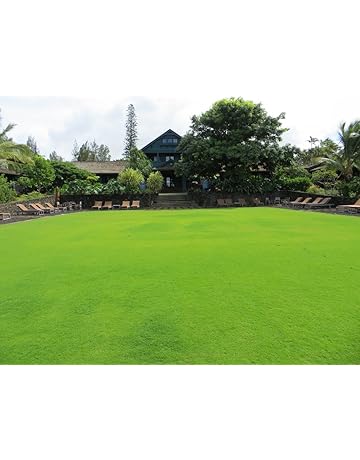 Grass Seeds Online Buy Grass Seeds In India Best Prices