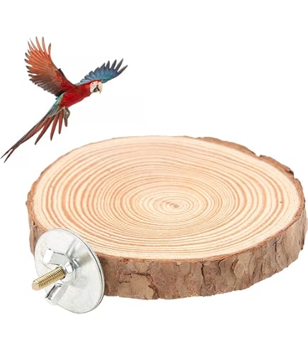 Vogelspiegel Mit Sitzstange Aus Baumwollseil – Für Käfige, Papageien, Wellensittiche & Kleine Vögel