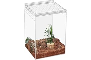 KAKOOTI Reptile Terrarium,8" x 8"x 12" Reptilienzuchtbox, magnetisches Acrylgehäuse, für Schlange, Tarantula, Einsiedlerkrabbe, springende Spinne, Iguane, Leopard Gecko, Bartdrache, Insekt, Mantis