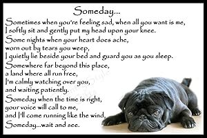 COUNTRYSTYLE GIFTS Black Pug Pet Dog Memorial magnetic plaque Fridge Magnet - Someday