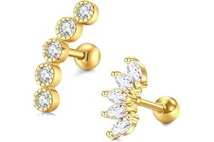 Briana Williams 2pcs Piercing Oreille Tragus Cartilage Helix Visser Strassen Acier Inoxydable 6mm Barre avec Coeur Pendant CZ 16G