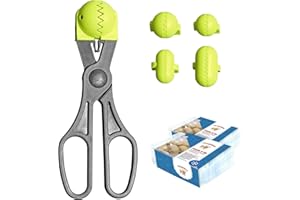 La Croquetera Multiusos Color Pistacho-4 moldes Intercambiables para masas + Pack conservación-100% español : Patentado y Fabricado en España, 1 utensilio + 40 bandejas