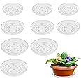 Lot De 6 Soucoupes Pour Plantes 25,4 Cm, Plateau Rond En Plastique, Soucoupe Pour Pot De Fleurs - 13