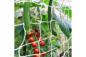 WUYUE HUA Filet de treillis résistant aux intempéries, 1,5 x 4,5 m, pour plantes grimpantes