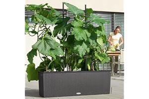 Lechuza Pflanztrog Trio Cottage 30 Granit 15003