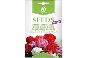 Géranium "zonale F2 Colorama Mixed", Graines prêt à Pousser Minigarden, 100% Naturelles sans Propagateurs Chimiques ni Génie Génétique, inclut entre 10 et 15 graines